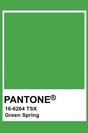 Palette Photo 4