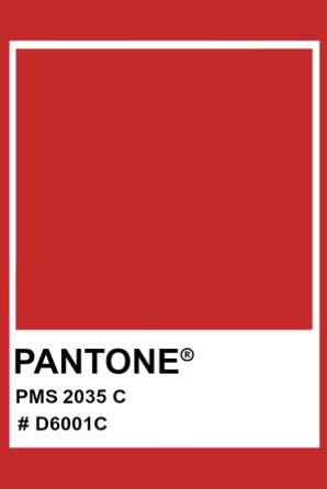 Palette Photo 3