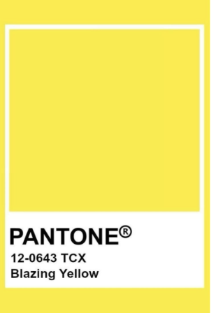 Palette Photo 2